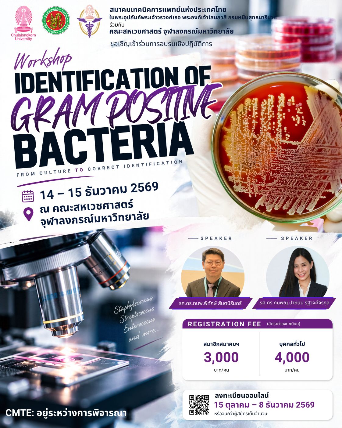 Gram positive workshop.png